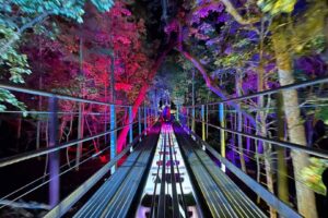 Copperhead_mountain_coaster_christmas