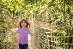 Treetop_skytrail