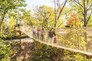 Treetop_skytrail_Branson