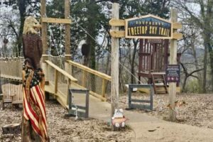 Treetop_skytrail_attraction