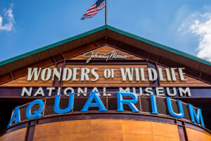Wonders_wildlife_acquarium