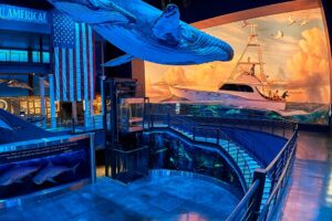 Wonders of Wildlife National Museum and Aquarium in Springfield, Missouri