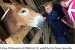 Group_Travel_Planning-13