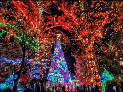 SDC_Christmas_2025