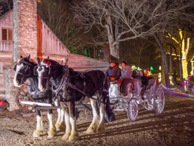 Shepherd_hills_carriage_ride